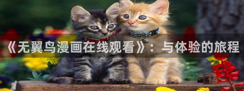 歪歪漫画网站免费在线观看