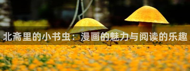 歪歪漫画正版阅读平台