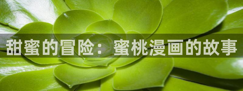 免费观看歪歪漫画网站