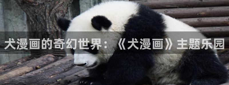 歪歪漫画免费大全